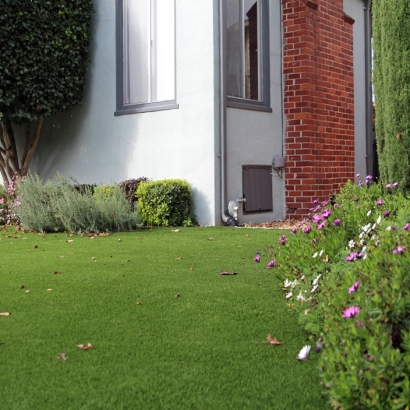 Artificial Grass Bowman, Georgia Backyard Playground, Front Yard