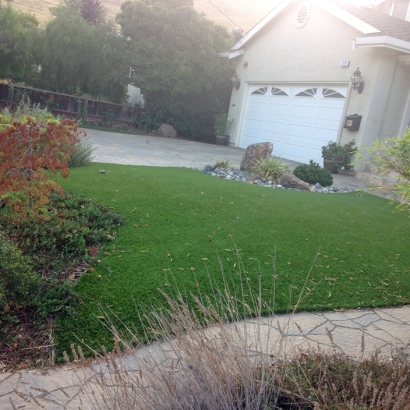 Artificial Grass Carpet Omega, Georgia Landscape Photos, Front Yard Ideas