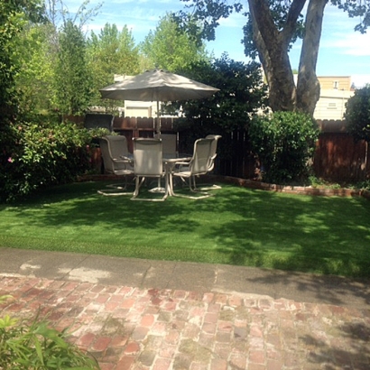 Artificial Grass Carpet Stillmore, Georgia Landscaping Business, Backyard Landscaping Ideas