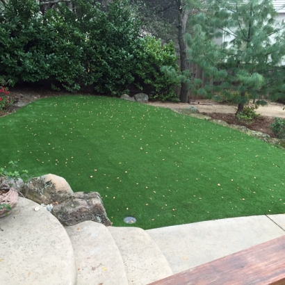 Artificial Lawn Colbert, Georgia City Landscape, Backyard Designs