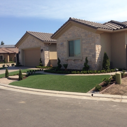 Artificial Lawn Kings Bay Base, Georgia Landscape Photos, Front Yard Ideas