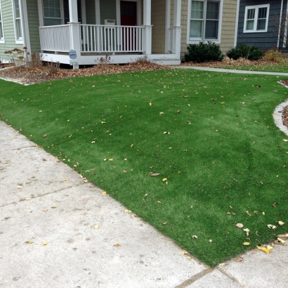 Artificial Lawn McCaysville, Georgia Rooftop, Front Yard Design