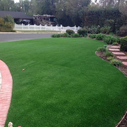 Artificial Turf Cost Brooklet, Georgia Backyard Playground, Front Yard Landscaping Ideas