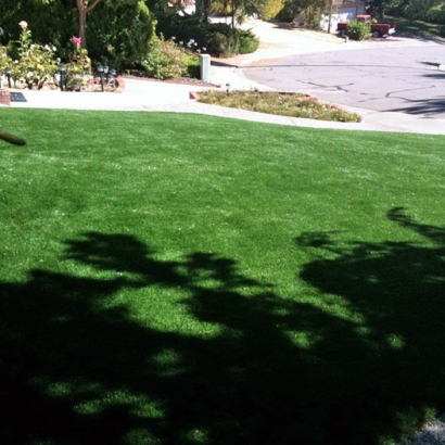 Artificial Turf Cost Centerville, Georgia Rooftop, Front Yard Landscape Ideas