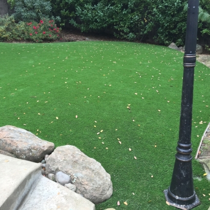 Artificial Turf Cost Cornelia, Georgia Home And Garden, Small Backyard Ideas