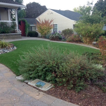 Artificial Turf Installation Richmond Hill, Georgia Backyard Deck Ideas, Front Yard Landscaping