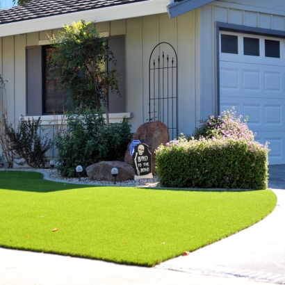 Artificial Turf Talmo, Georgia Landscape Photos, Front Yard Landscaping Ideas