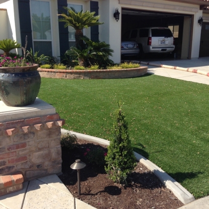 Best Artificial Grass Garden City, Georgia Lawn And Landscape, Front Yard Landscaping Ideas