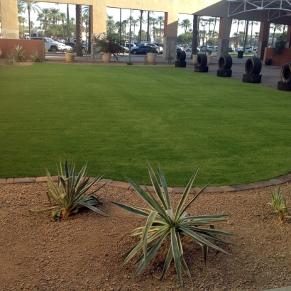 Best Artificial Grass Guyton, Georgia Landscape Photos, Commercial Landscape