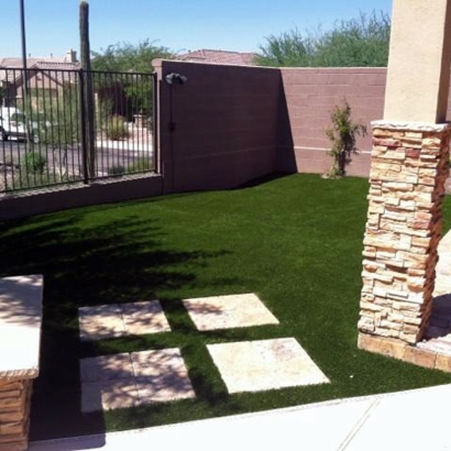 Best Artificial Grass Hardwick, Georgia Paver Patio, Backyard