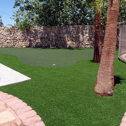 Best Artificial Grass Tybee Island, Georgia Backyard Playground, Backyard Designs