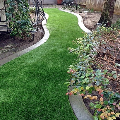 Fake Grass Carpet Mount Zion, Georgia Backyard Deck Ideas, Backyard Landscaping