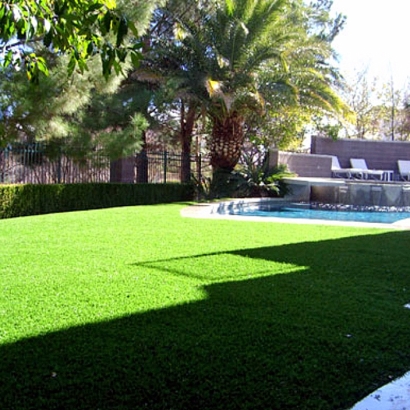 Fake Grass Doerun, Georgia City Landscape, Natural Swimming Pools