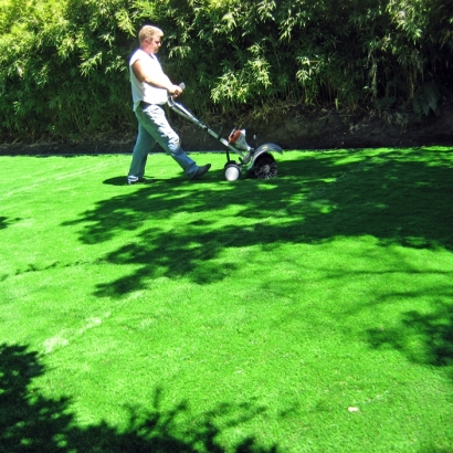 Fake Grass Hardwick, Georgia Landscape Design, Small Backyard Ideas