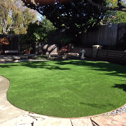 Fake Turf Arcade, Georgia Lawns, Beautiful Backyards