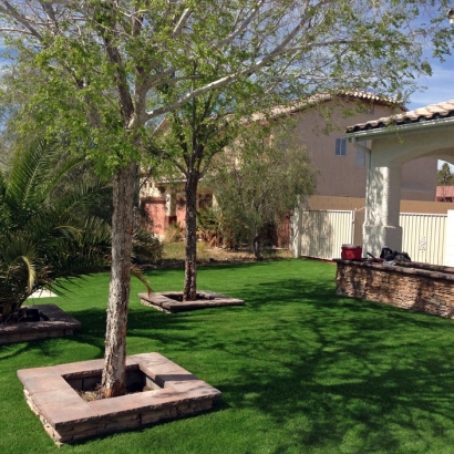 Fake Turf Odum, Georgia Lawn And Garden, Small Front Yard Landscaping