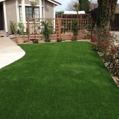 Faux Grass Franklin Springs, Georgia Backyard Playground, Front Yard