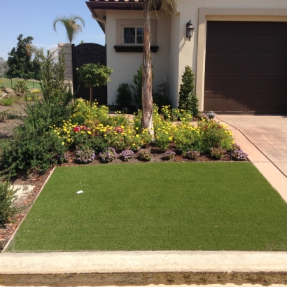 Grass Carpet Saint Marys, Georgia Landscape Photos, Front Yard Landscaping