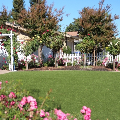 Grass Installation Chattanooga Valley, Georgia Roof Top, Small Front Yard Landscaping