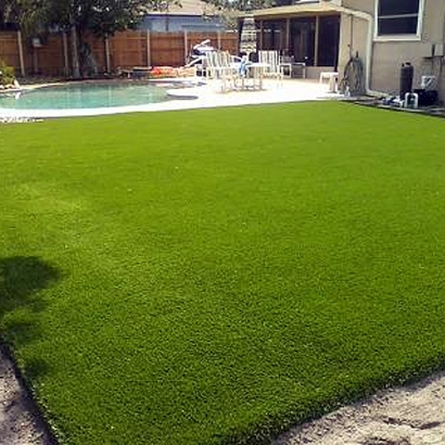 Installing Artificial Grass Lula, Georgia Landscaping Business, Backyard Garden Ideas