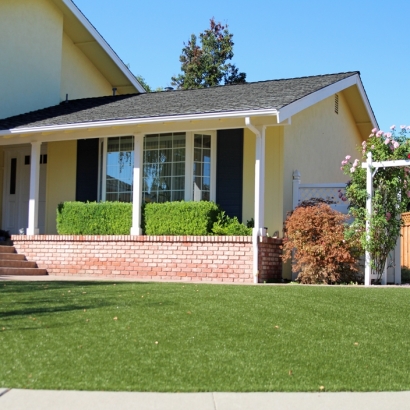 Outdoor Carpet Country Club Estates, Georgia City Landscape, Small Front Yard Landscaping