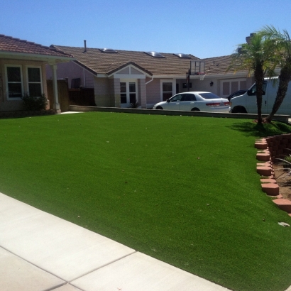 Plastic Grass Unadilla, Georgia Lawn And Garden, Front Yard Landscaping