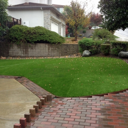 Synthetic Grass Canon, Georgia City Landscape, Backyard Landscaping