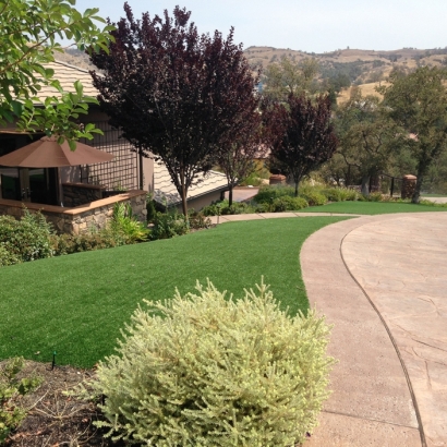 Synthetic Grass Chattanooga Valley, Georgia Gardeners, Front Yard Landscaping