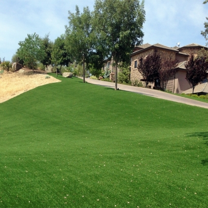 Synthetic Grass Cost Warner Robins, Georgia Landscape Photos, Front Yard Design