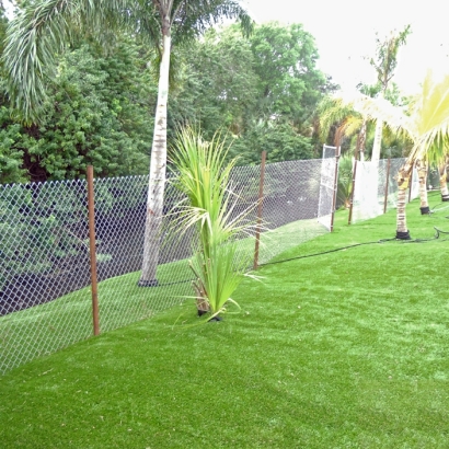 Synthetic Grass Glennville, Georgia Roof Top, Backyard Designs