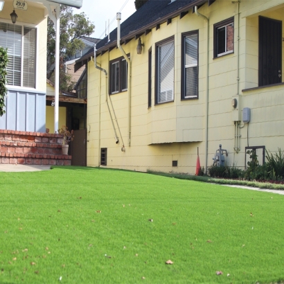 Synthetic Grass Lake City, Georgia Roof Top, Front Yard Ideas