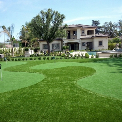 Synthetic Grass Patterson, Georgia Lawns, Front Yard Landscaping