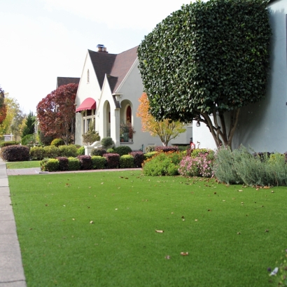 Synthetic Grass Stone Mountain, Georgia Rooftop, Front Yard Ideas