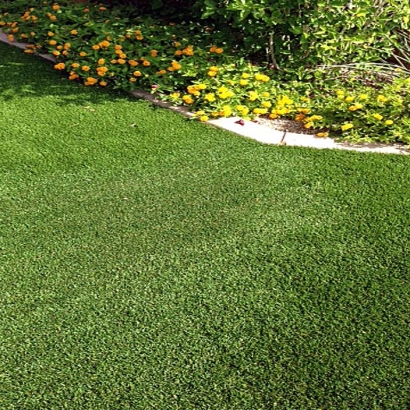 Synthetic Lawn Pineview, Georgia Lawn And Landscape, Front Yard Landscaping Ideas