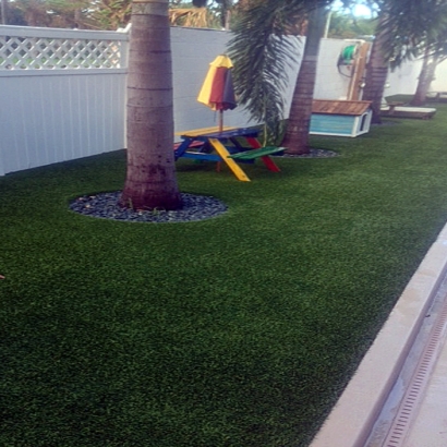 Synthetic Turf Putney, Georgia Landscape Rock, Backyard Garden Ideas