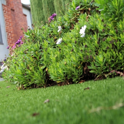 Synthetic Turf Saint Simon Mills, Georgia Gardeners, Front Yard