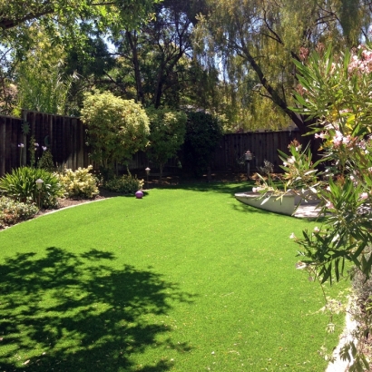 Synthetic Turf Supplier Walthourville, Georgia Paver Patio, Backyard Design