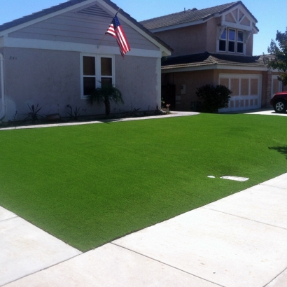 Synthetic Turf Tennille, Georgia Backyard Deck Ideas, Front Yard