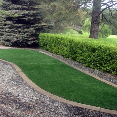 Synthetic Turf Vidalia, Georgia Lawn And Garden