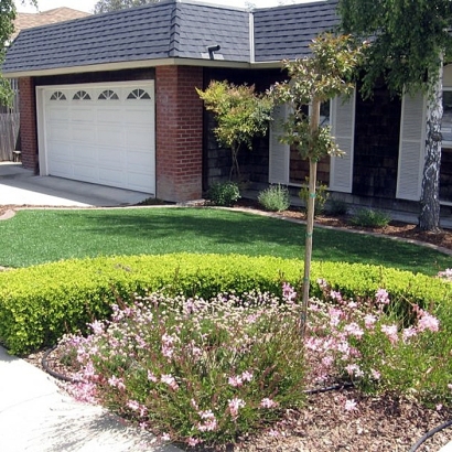 Synthetic Turf White, Georgia Landscape Design, Front Yard Design