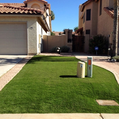 Turf Grass Locust Grove, Georgia Landscaping Business, Front Yard Landscape Ideas