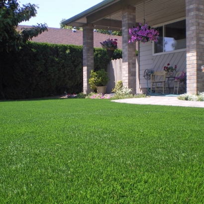 Turf Grass Phillipsburg, Georgia City Landscape, Front Yard Landscaping Ideas