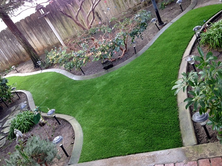 Artificial Grass Adairsville, Georgia Paver Patio, Beautiful Backyards