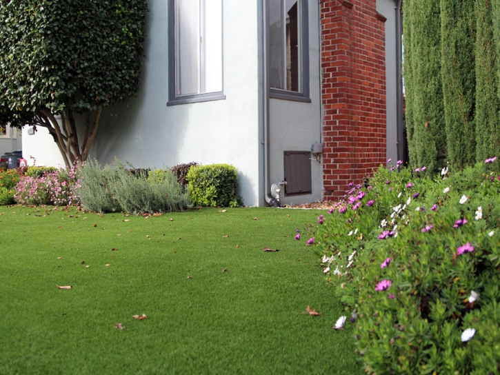 Artificial Grass Bowman, Georgia Backyard Playground, Front Yard