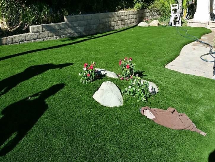 Artificial Grass Carpet Arlington, Georgia Garden Ideas, Landscaping Ideas For Front Yard