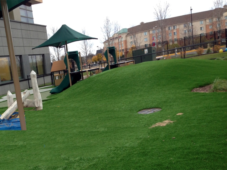 Artificial Grass Carpet Dexter, Georgia Athletic Playground, Commercial Landscape