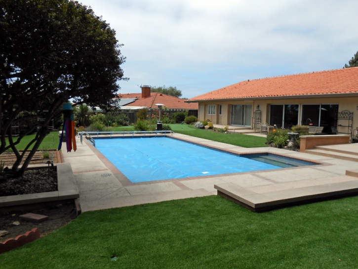 Artificial Grass Carpet Hardwick, Georgia Rooftop, Backyard Design