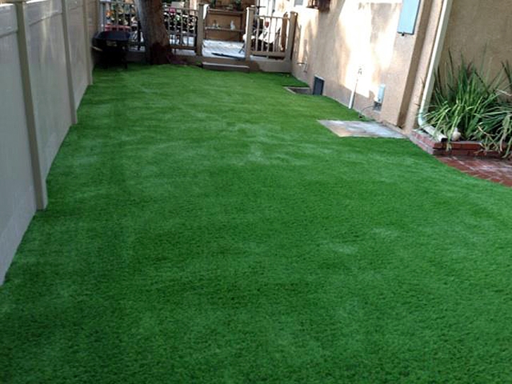 Artificial Grass Carpet Hoboken, Georgia Landscape Photos, Beautiful Backyards