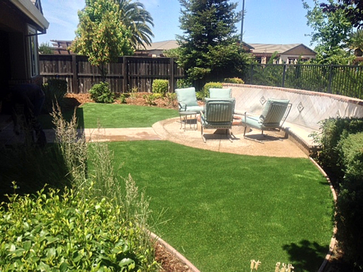 Artificial Grass Carpet Martinez, Georgia Roof Top, Backyard Ideas