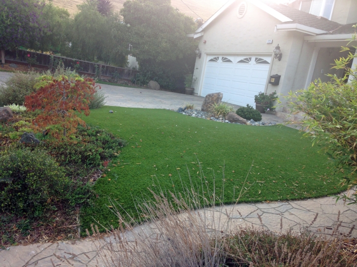 Artificial Grass Carpet Omega, Georgia Landscape Photos, Front Yard Ideas